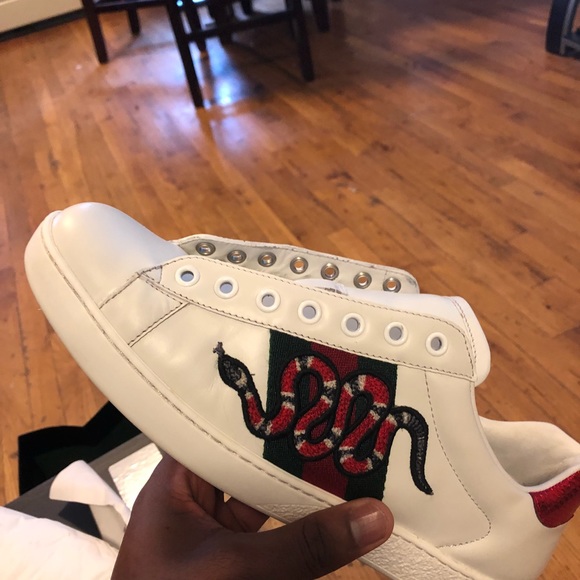 Meet your Posher, Rell - Picture 2 of 5